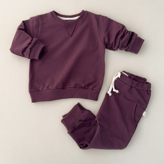 Conjunto Infantil Molecotton Manga Longa - Beringela