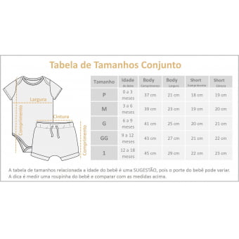 Kit Body Bebe e Camiseta Manga Curta - Gaivotas Azul - 6 peças