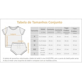 Kit Body Bebe e Camiseta Manga Curta - Gaivotas Azul - 6 peças